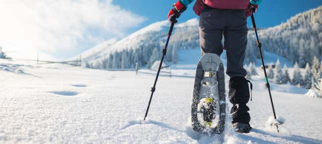 Paseo con raquetas de nieve por el Pirineo aragonés