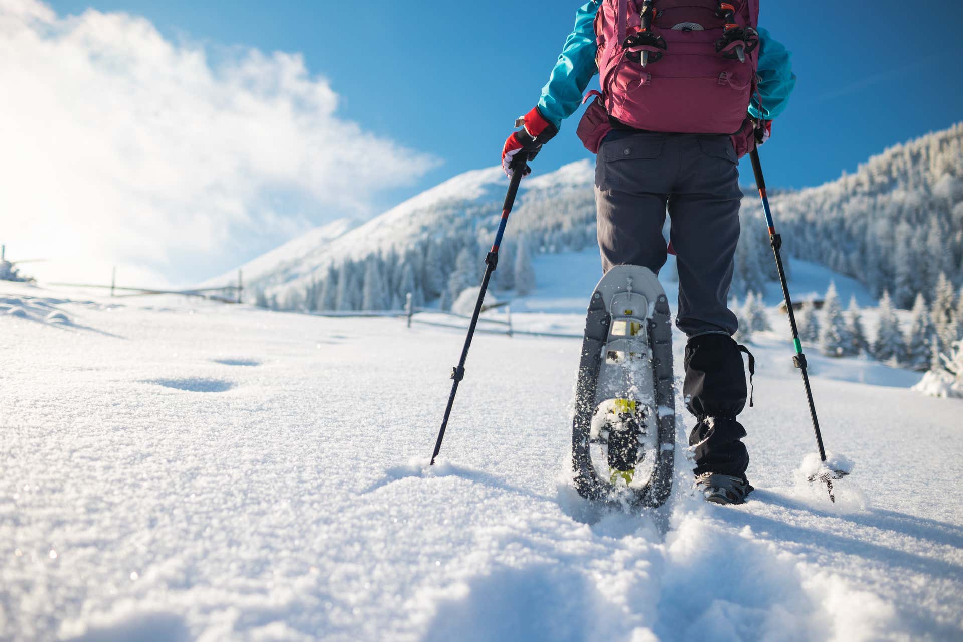 Paseo con raquetas de nieve por el Pirineo aragonés