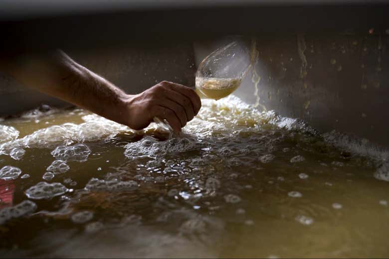 Sample different wine varieties