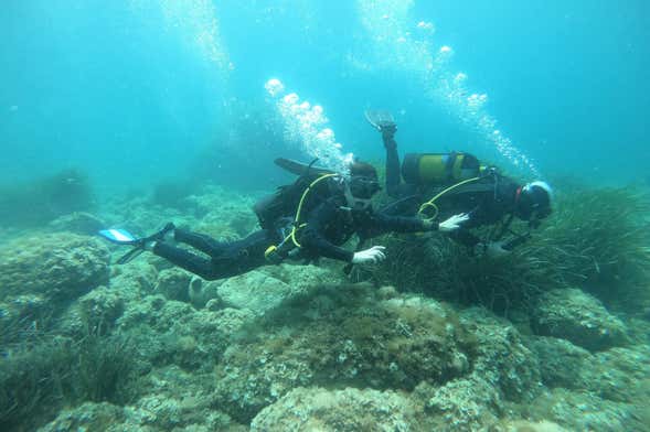 Bautismo de buceo en Jávea