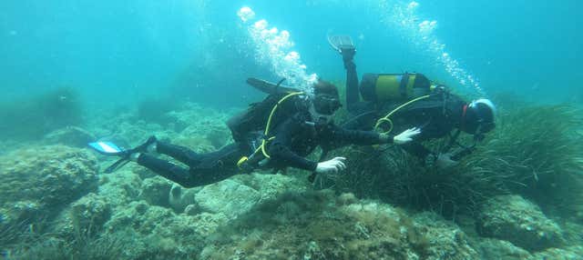 Diving Initiation in Jávea