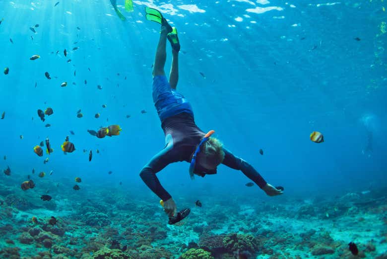 Snorkeling in Xabia, Jávea