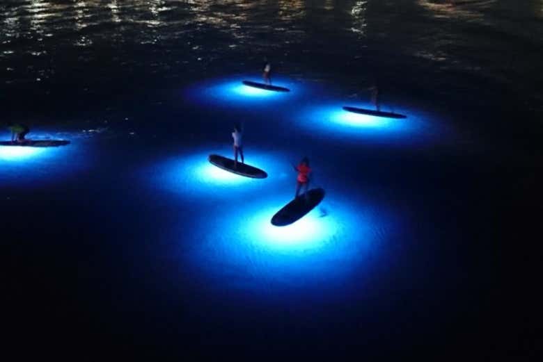 Praticando paddle surf à noite