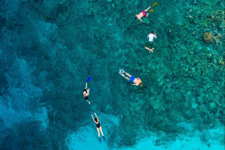 Snorkeling in the waters of Jávea
