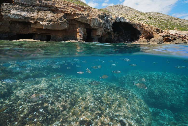 Snorkeling in a sea cave