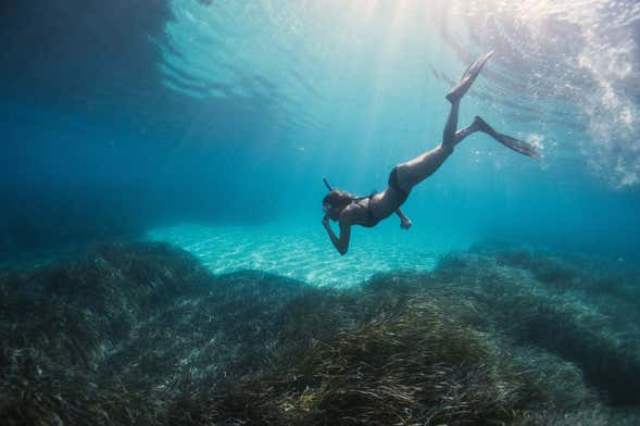 Snorkeling a Jávea