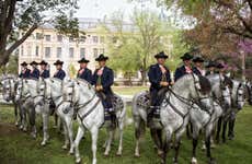 Spettacolo equestre a Jerez de la Frontera