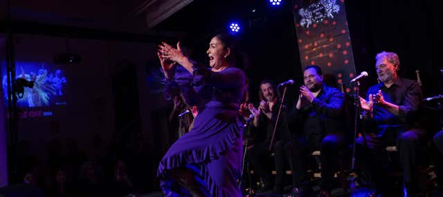 Flamenco Show at La Guarida del Ángel