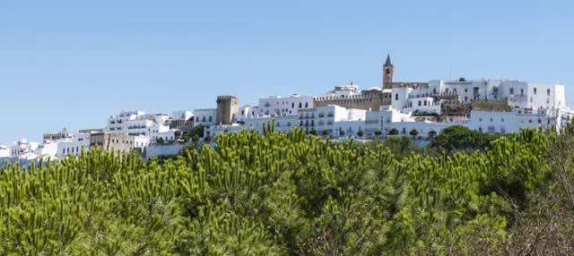 Excursión a Vejer y Conil de la Frontera