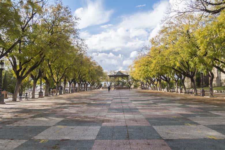 Alameda Vieja