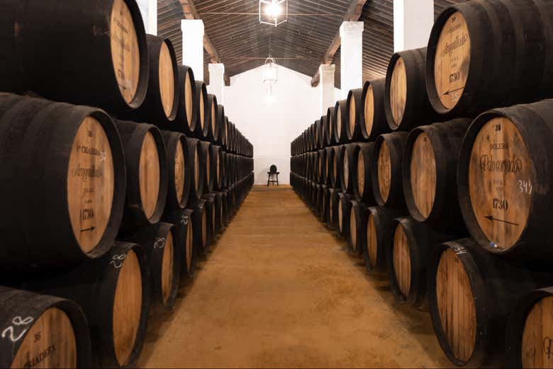 Le botti della cantina Álvaro Domecq