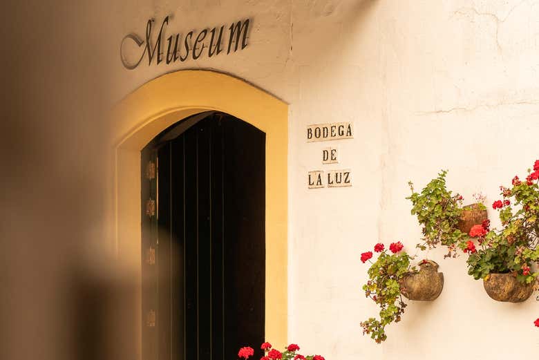 Bodega de la Luz