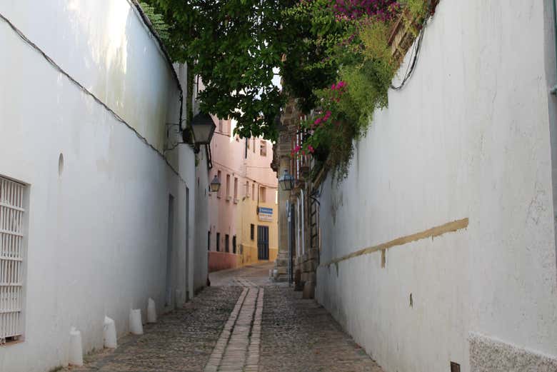 Disfrutando del free tour por el barrio de San Mateo