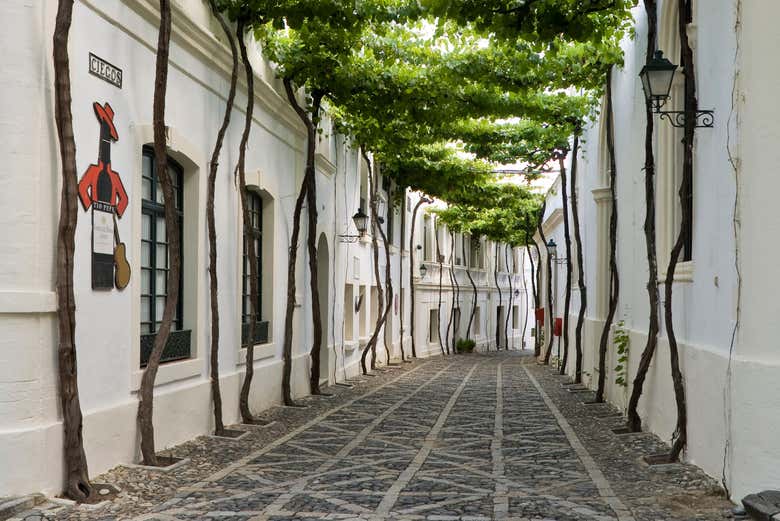 Cave Tío Pepe