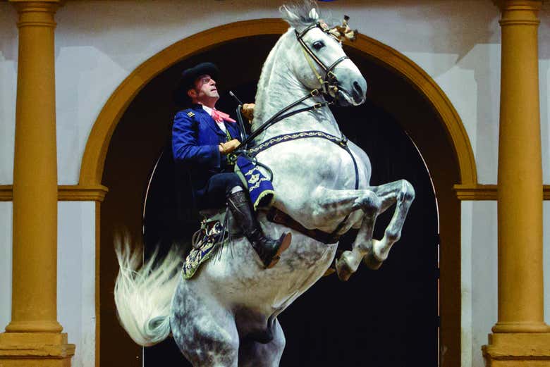 One of the horses during the show