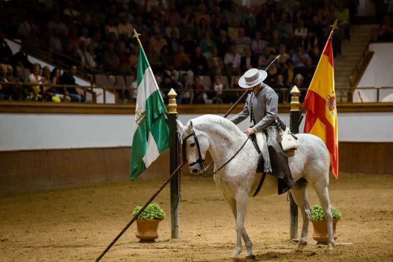 Performance, 'How Andalusian Horses Dance'