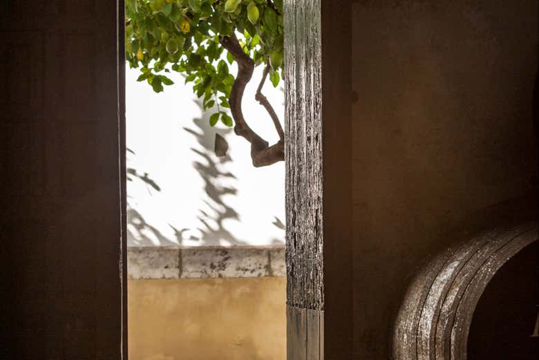 Você está pronto para degustar os vinhos das Vinícolas Lustau?