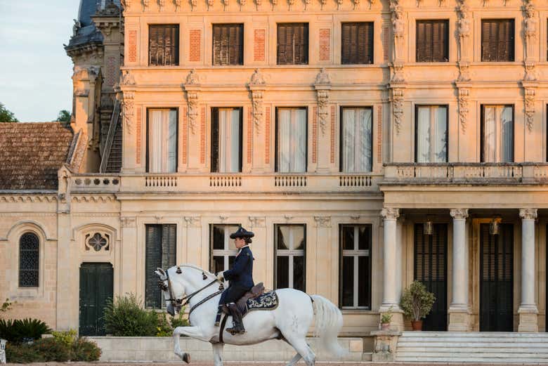 Royal Andalusian School of Equestrian Art