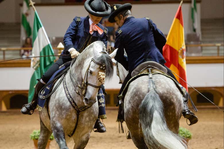 Enjoying the horse show