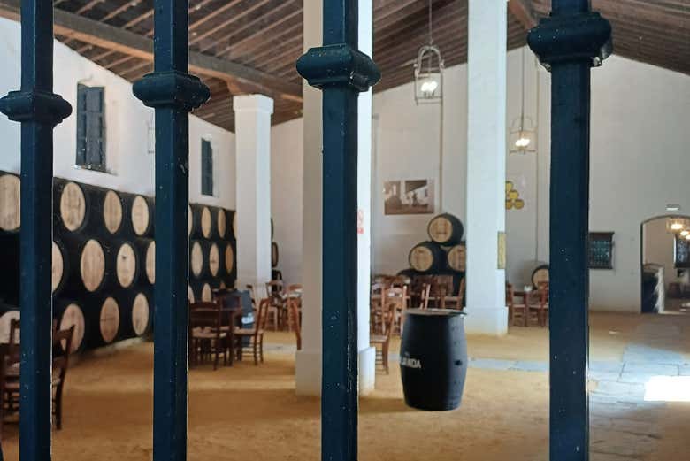 Gli interni della cantina