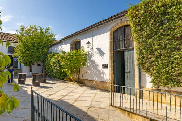 Visita a las Bodegas Álvaro Domecq