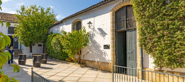 Visita a las Bodegas Álvaro Domecq