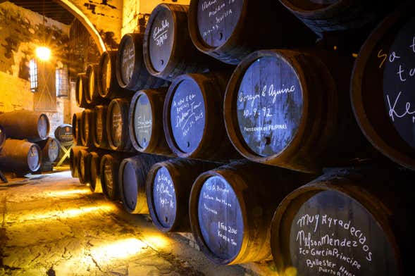 Visite des Bodegas Fundador