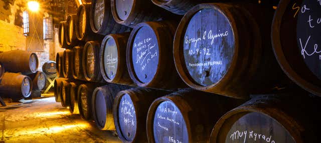 Visita a las Bodegas Fundador