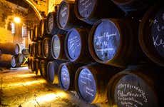 Visita a las Bodegas Fundador