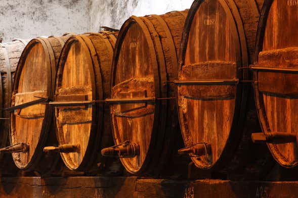 Visita alle cantine Tío Pepe