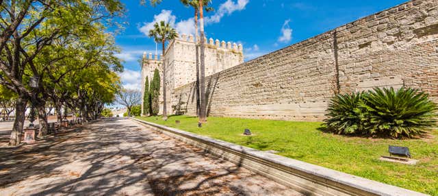 Visita guiada por Jerez