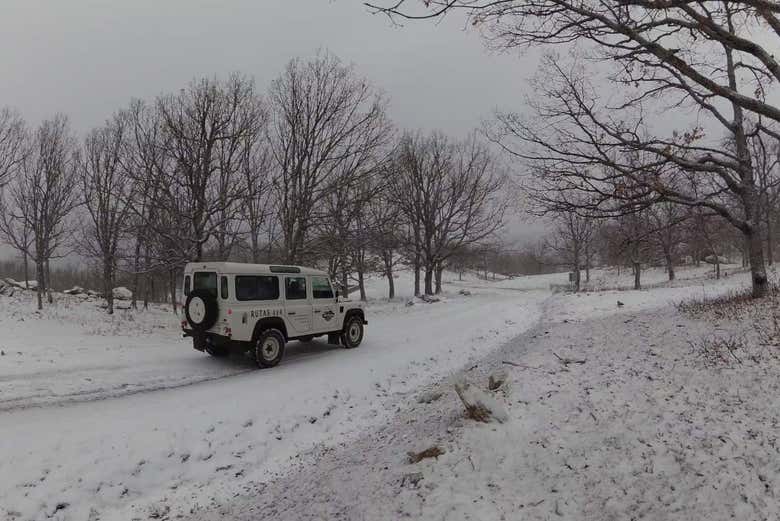 Rota de 4x4 pela neve