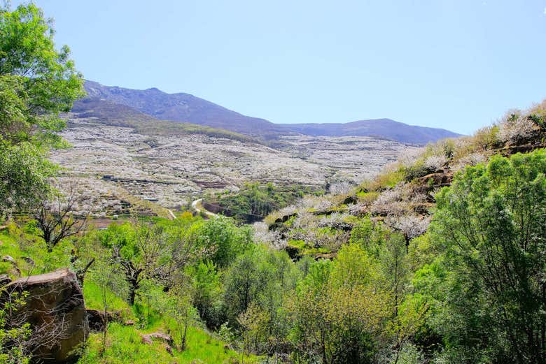 Valle del Jerte