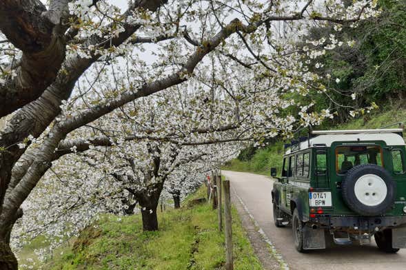 Tour en 4x4 por la Garganta de los Infiernos y Los Pilones