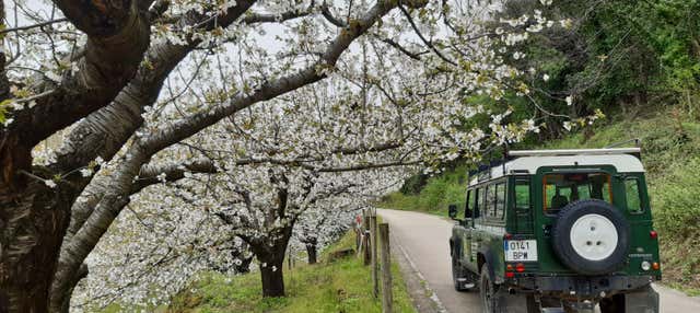 Tour en 4x4 por la Garganta de los Infiernos y Los Pilones