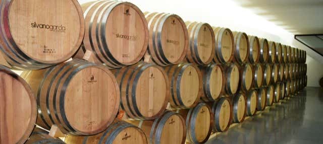 Visita a las bodegas Silvano García