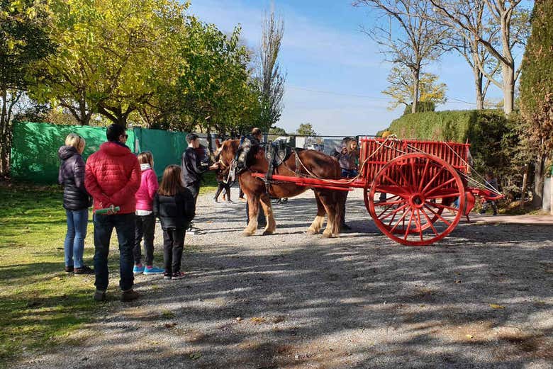 Balade en poney dans la ferme de La Manreana 
