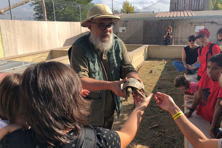 Une tortue de La Manreana