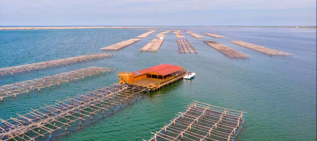 Paseo en barco con degustación de ostras y mejillones