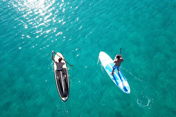 Paddle Surf Rental