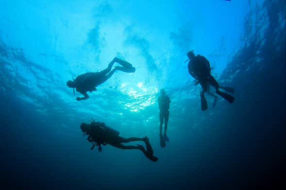 La Ametlla de Mar Beginners Scuba Diving Lesson