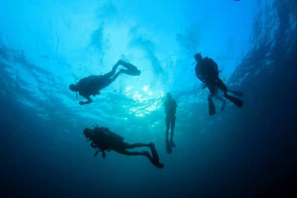 Cuchillo de buceo - Escuela y Centro de Buceo en Barcelona y Costa Brava en  Lloret de Mar