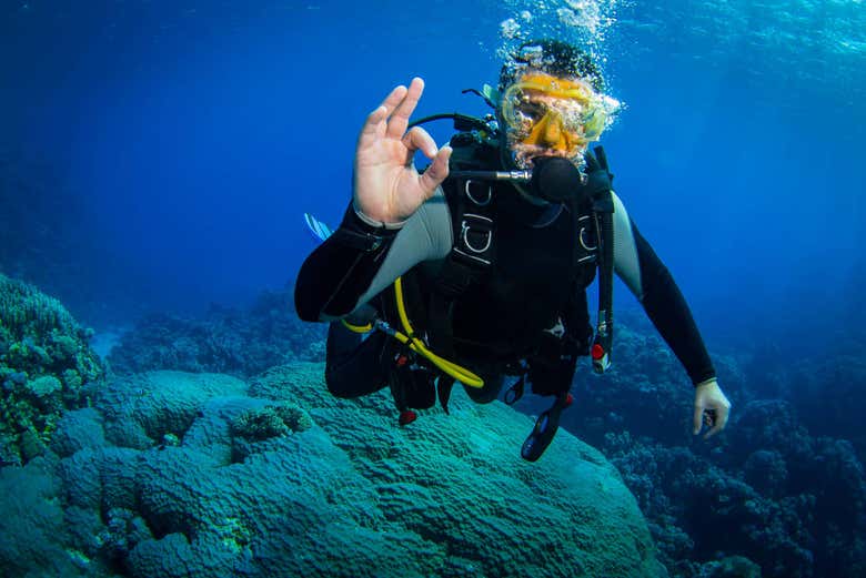 Scuba diving in La Ametlla de Mar