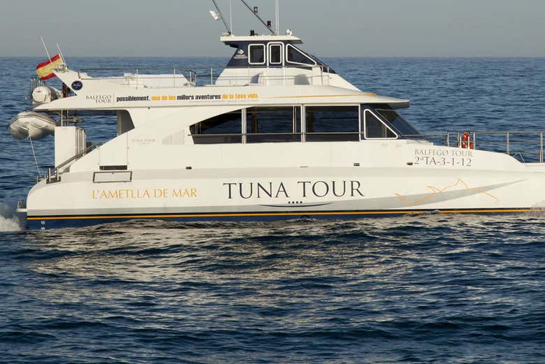 Balfegó catamaran tour