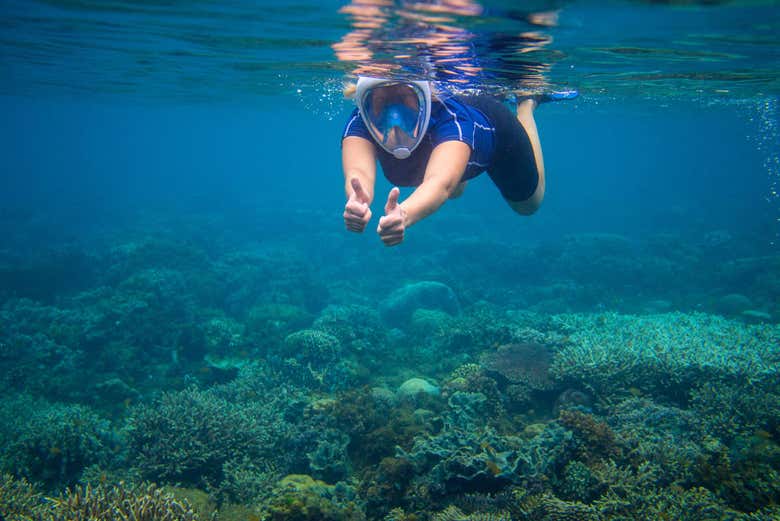 Durante a atividade de snorkel