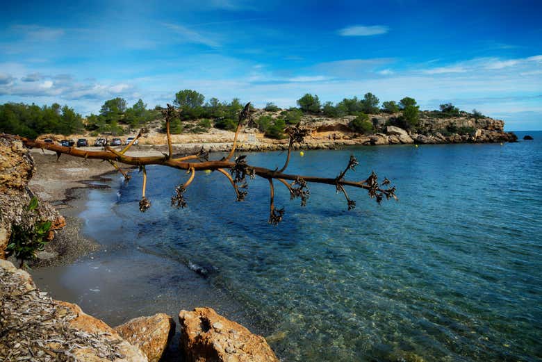 Plage de La Ametlla de Mar​​​