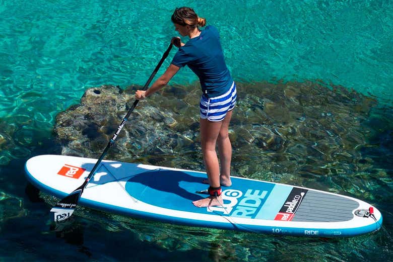 Enjoying the paddle surfing activity