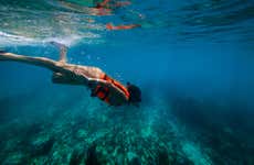 Snorkeling a Ametlla de Mar