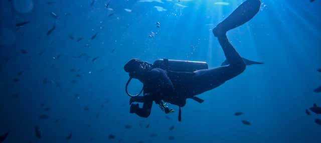 Bautismo de buceo en Cabo Tiñoso