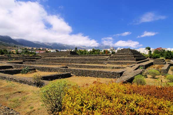 Excursión a Candelaria y las pirámides de Güimar
